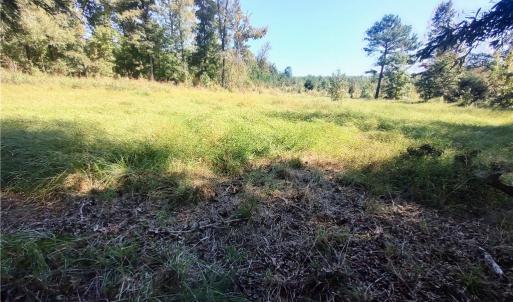 Photo #18 of 7808 NC Highway 49, Snow Camp, NC 45.1 acres