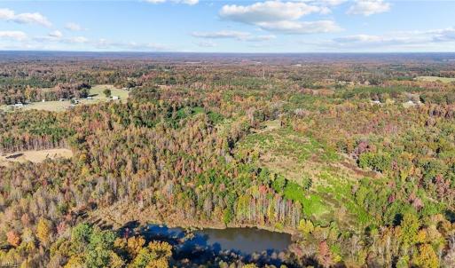 Photo #15 of 7808 NC Highway 49, Snow Camp, NC 45.1 acres