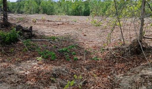 Photo #1 of Lot 2A Manning Powell Old Macon Highway, Macon, NC 17.2 acres