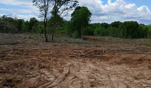Photo #2 of Lot 2A Manning Powell Old Macon Highway, Macon, NC 17.2 acres