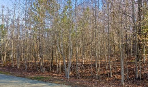 Photo #6 of 3927 Fox Grove, Greensboro, NC 0.6 acres