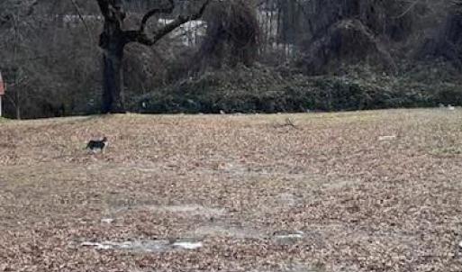 Photo #2 of 1307 Potts, High Point, NC 0.4 acres