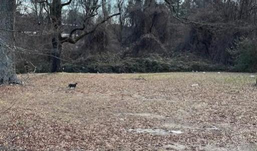 Photo #3 of 1307 Potts, High Point, NC 0.4 acres