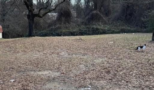 Photo #1 of 1307 Potts, High Point, NC 0.4 acres