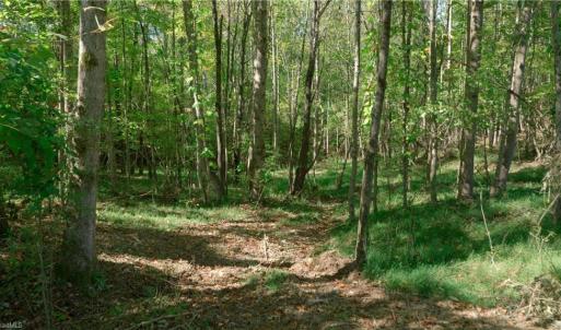 Photo #27 of 7766 Fip Newsome, Tobaccoville, NC 2.7 acres