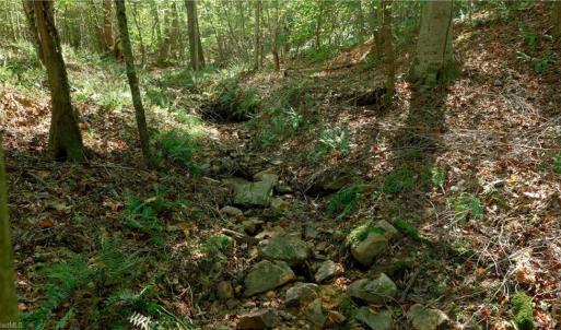 Photo #26 of 7766 Fip Newsome, Tobaccoville, NC 2.7 acres