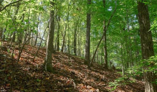 Photo #30 of 7766 Fip Newsome, Tobaccoville, NC 2.7 acres