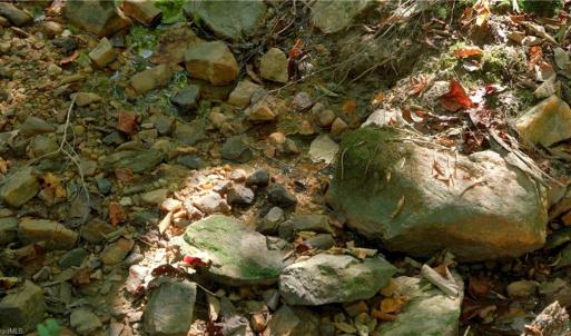 Photo #25 of 7766 Fip Newsome, Tobaccoville, NC 2.7 acres