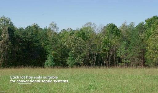 Photo #17 of 7766 Fip Newsome, Tobaccoville, NC 2.7 acres