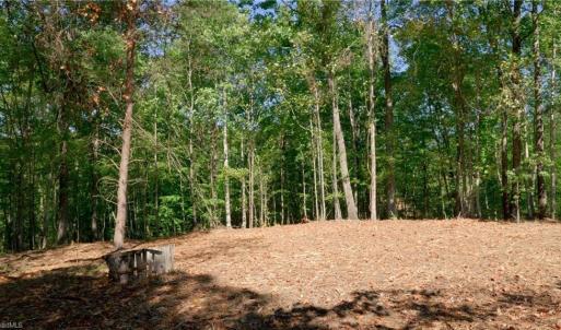 Photo #32 of 7766 Fip Newsome, Tobaccoville, NC 2.7 acres