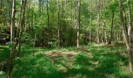 Photo #30 of 7766 Fip Newsome, Tobaccoville, NC 2.7 acres