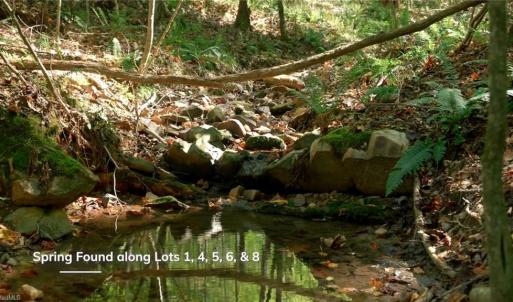 Photo #25 of 7766 Fip Newsome, Tobaccoville, NC 2.7 acres