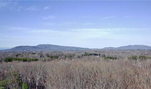 Photo #7 of King, King, NC 7.0 acres