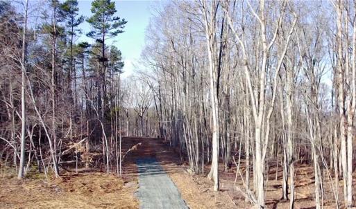 Photo #5 of King, King, NC 7.0 acres