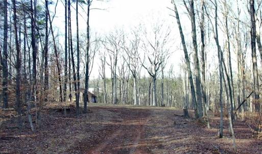 Photo #4 of King, King, NC 7.0 acres