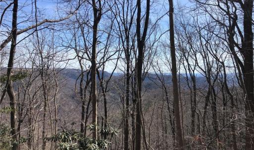 Photo #2 of TBD Rhododendron, Hillsville, VA 17.2 acres