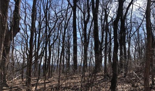 Photo #6 of TBD Rhododendron, Hillsville, VA 17.2 acres