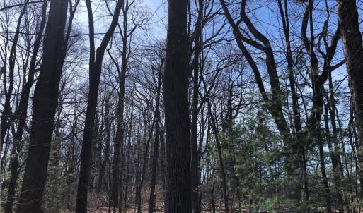 Photo #7 of TBD Rhododendron, Hillsville, VA 17.2 acres