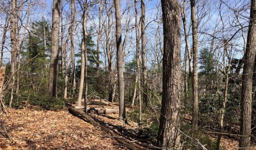 Photo #3 of TBD Rhododendron, Hillsville, VA 17.2 acres