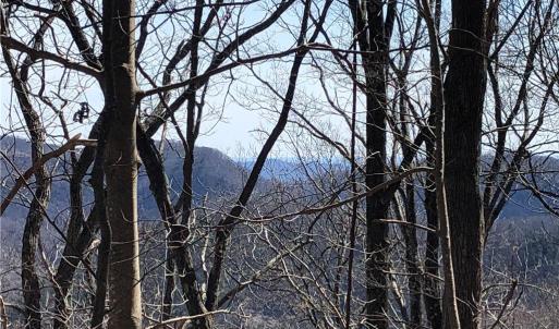 Photo #1 of TBD Rhododendron, Hillsville, VA 17.2 acres