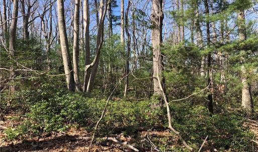Photo #5 of TBD Rhododendron, Hillsville, VA 17.2 acres