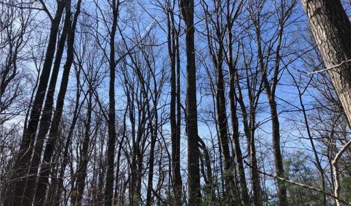 Photo #9 of TBD Rhododendron, Hillsville, VA 17.2 acres