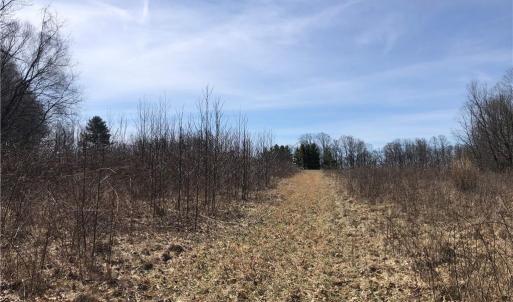Photo #10 of TBD Rhododendron, Hillsville, VA 17.2 acres
