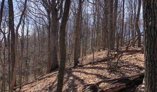 Photo #4 of TBD Rhododendron, Hillsville, VA 17.2 acres