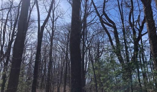 Photo #8 of TBD Rhododendron, Hillsville, VA 17.2 acres