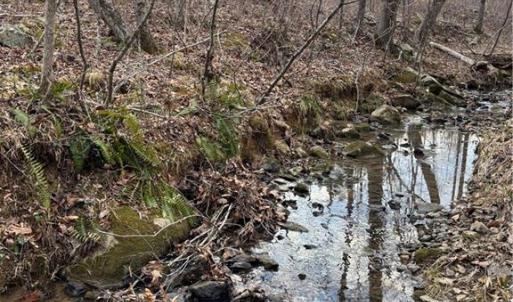Photo #13 of Homestead, Trinity, NC 33.4 acres