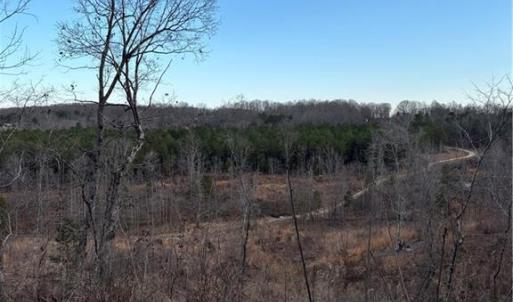 Photo #12 of Homestead, Trinity, NC 33.4 acres
