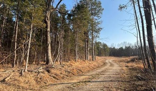 Photo #7 of Homestead, Trinity, NC 33.4 acres