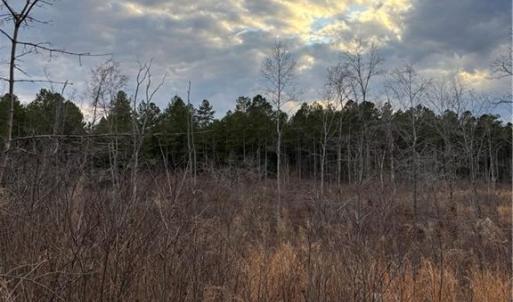Photo #3 of Homestead, Trinity, NC 33.4 acres