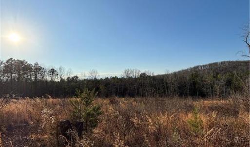 Photo #1 of Homestead, Trinity, NC 33.4 acres