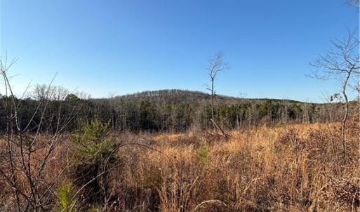 Photo #5 of Homestead, Trinity, NC 33.4 acres