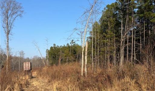 Photo #9 of Homestead, Trinity, NC 33.4 acres