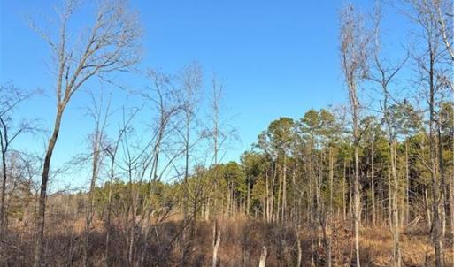 Photo #14 of Homestead, Trinity, NC 33.4 acres