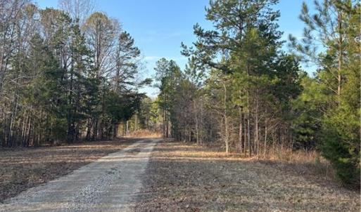 Photo #15 of Homestead, Trinity, NC 33.4 acres