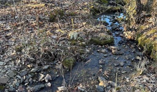 Photo #11 of Homestead, Trinity, NC 33.4 acres