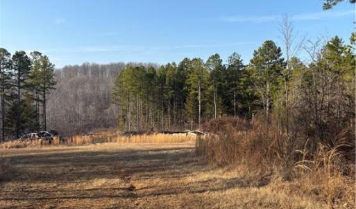 Photo #8 of Homestead, Trinity, NC 33.4 acres