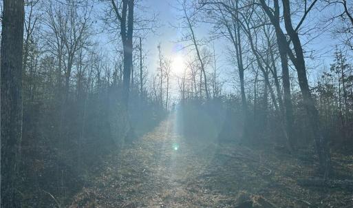 Photo #13 of 2117 Slate Mine, Denton, NC 75.3 acres