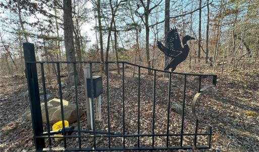 Photo #12 of 2117 Slate Mine, Denton, NC 75.3 acres