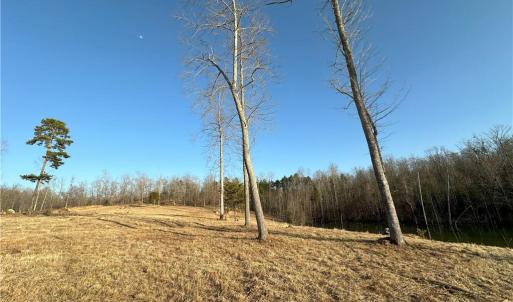 Photo #32 of 2117 Slate Mine, Denton, NC 75.3 acres