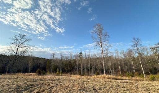 road from building to ponds cleared acreage
