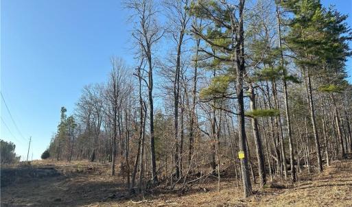 Rough estimate on properties lines.  Note the powerline to the left.  The bottom corner is approximately around the posted sign in the next pic for reference.