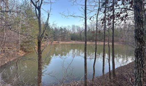 Cleared acreage looking from main trail with large pond to left and behind this picture.