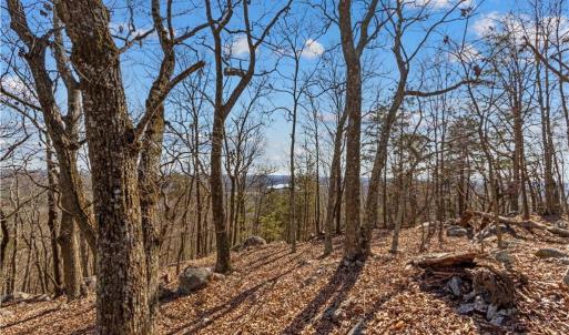 Photo #3 of 1026 Sierra Trace, Denton, NC 4.7 acres