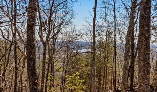 Photo #4 of 1026 Sierra Trace, Denton, NC 4.7 acres