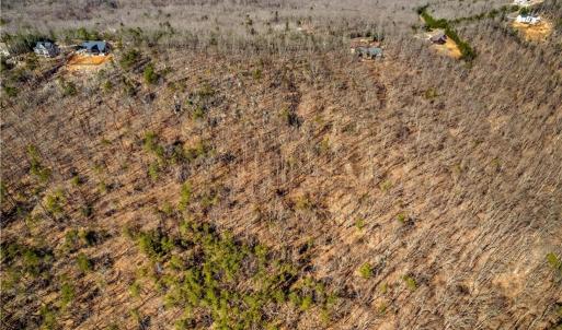 Photo #8 of 1026 Sierra Trace, Denton, NC 4.7 acres