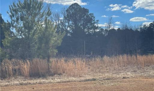 Photo #3 of 1222 Tempting Church, Sanford, NC 8.0 acres